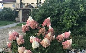 Apartman Harmonia Poděbrady 60m2